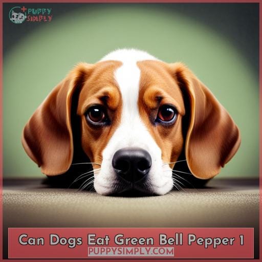 Can Dogs Eat Bell Peppers? Benefits & Serving Tips for Pet Parents