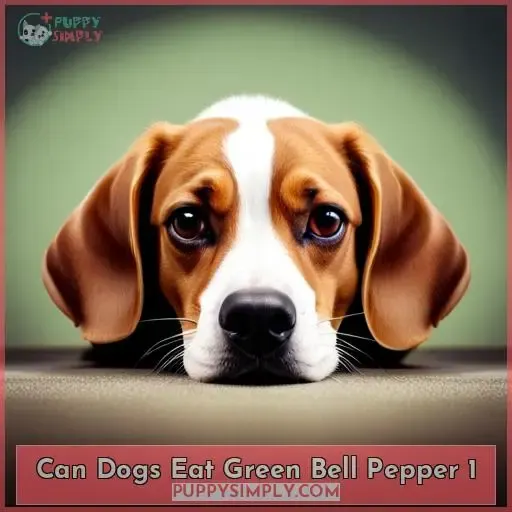 can dogs eat green bell pepper 1