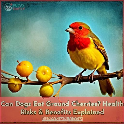 Can Dogs Eat Ground Cherries? Health Risks & Benefits Explained