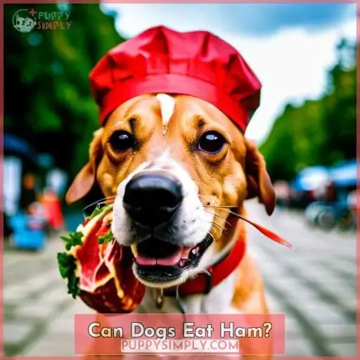 Can Dogs Eat Ham?