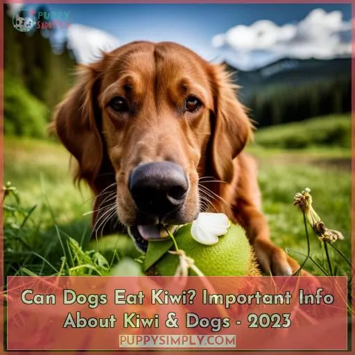can dogs eat kiwi seeds