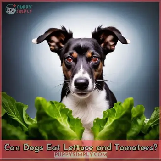 Can Dogs Eat Lettuce and Tomatoes?