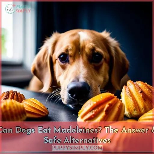 can dogs eat madeleines