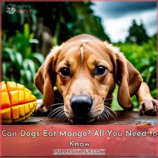 can dogs eat mango peel