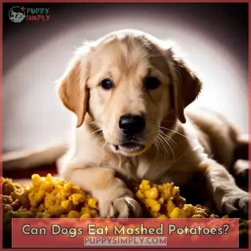 Can Dogs Eat Mashed Potatoes?