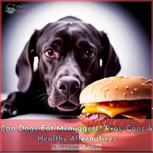 Can Dogs Eat Mcnuggets? Pros, Cons & Healthy Alternatives