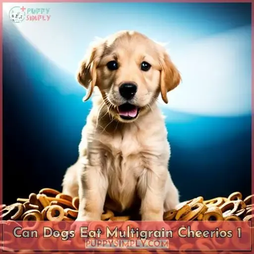 can dogs eat multigrain cheerios 1