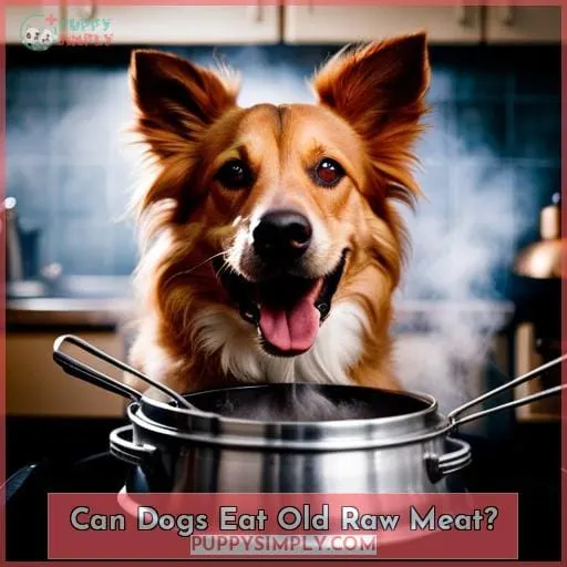Can Dogs Eat Old Raw Meat?