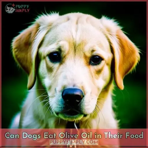can dogs eat olive oil in their food 1