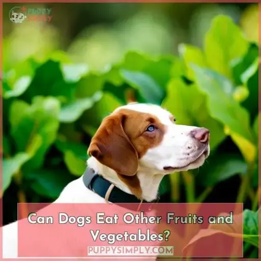 Can Dogs Eat Other Fruits and Vegetables?