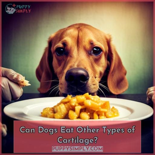 Can Dogs Eat Other Types of Cartilage?