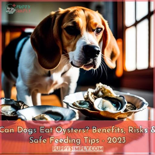 Can Dogs Eat Oysters? Benefits, Risks & Safe Feeding Tips 2023