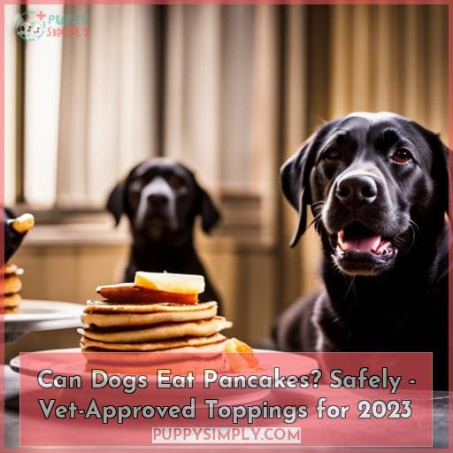 Can Dogs Eat Pancakes? Safely VetApproved Toppings for 2023