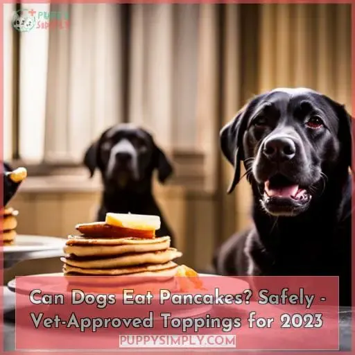 can dogs eat pancakes