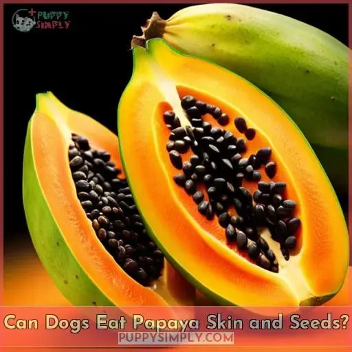 Can Dogs Eat Papaya Skin and Seeds