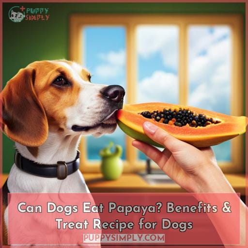 Can Dogs Eat Papaya? Benefits & Treat Recipe for Dogs