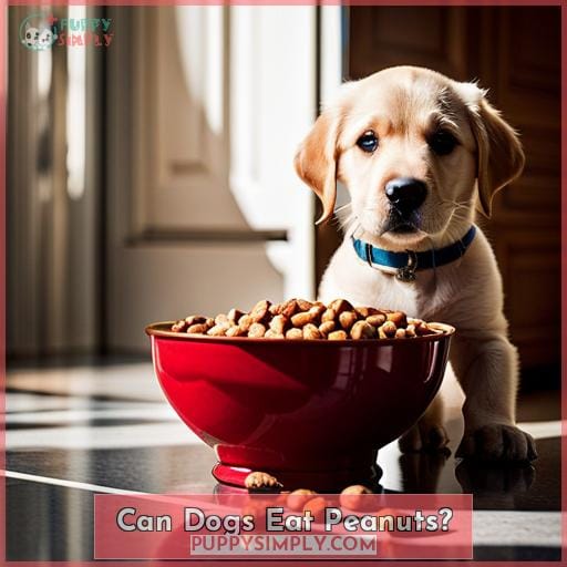 Can Dogs Eat Peanuts