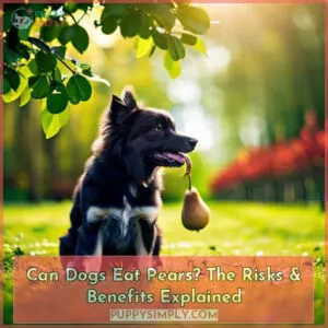 can dogs eat pears skin