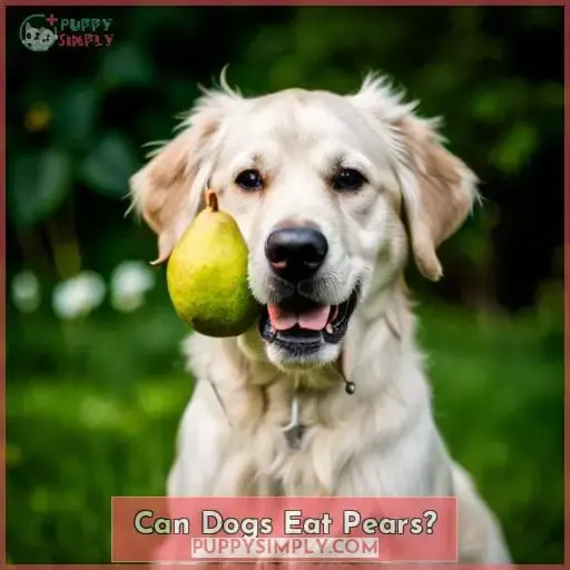 Can Dogs Eat Pears