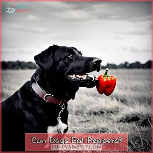 Can Dogs Eat Peppers?