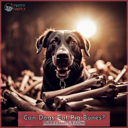 Can Dogs Eat Pig Bones?