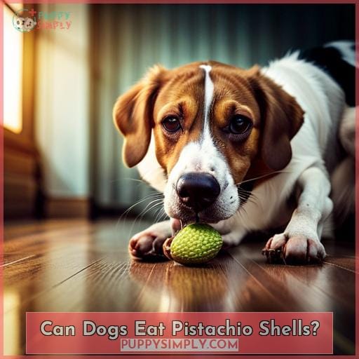Can Dogs Eat Pistachio Shells