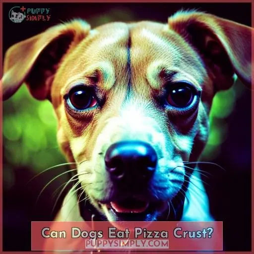 Can Dogs Eat Pizza Crust?