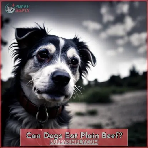 Can Dogs Eat Plain Beef?