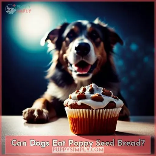 Can Dogs Eat Poppy Seed Bread?