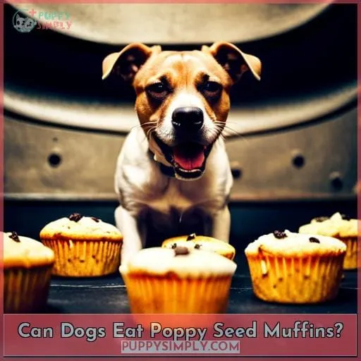 Can Dogs Eat Poppy Seed Muffins? 5