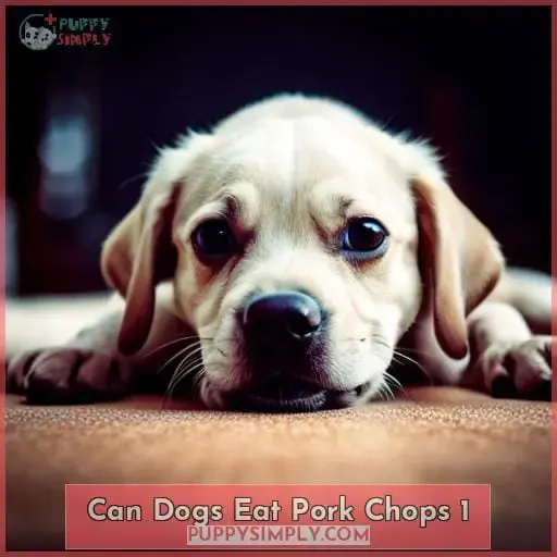 can dogs eat pork chops 1