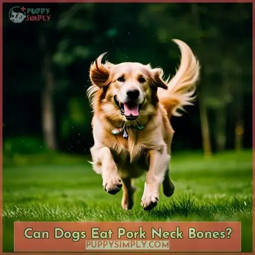 Can Dogs Eat Pork Neck Bones?