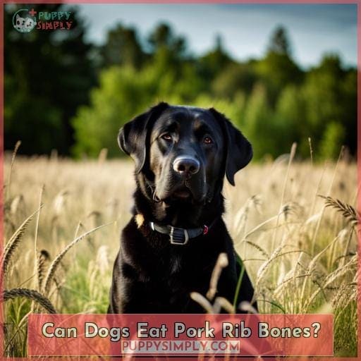 Can Dogs Eat Pork Rib Bones?