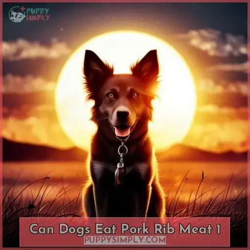 can dogs eat pork rib meat 1