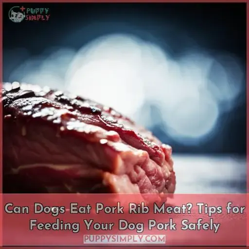 can dogs eat pork rib meat