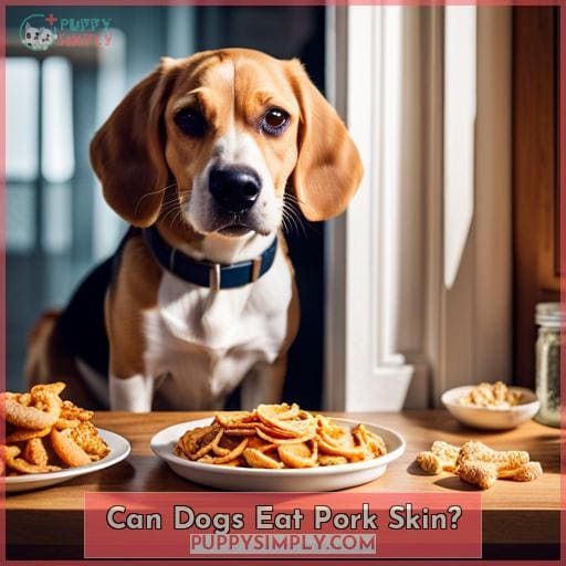 Can Dogs Eat Pork Rinds? Skin, Crackling & Scratchings Safety 2023
