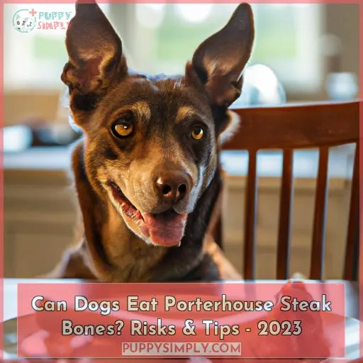 can dogs eat porterhouse steak bones