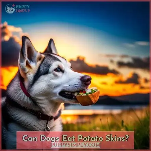 Can Dogs Eat Potato Skins