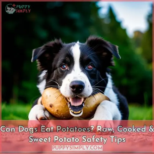 can dogs eat potatoes raw
