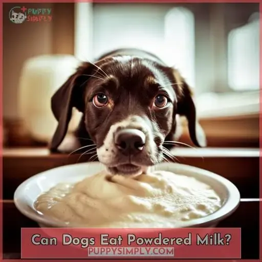 Can Dogs Eat Powdered Milk?