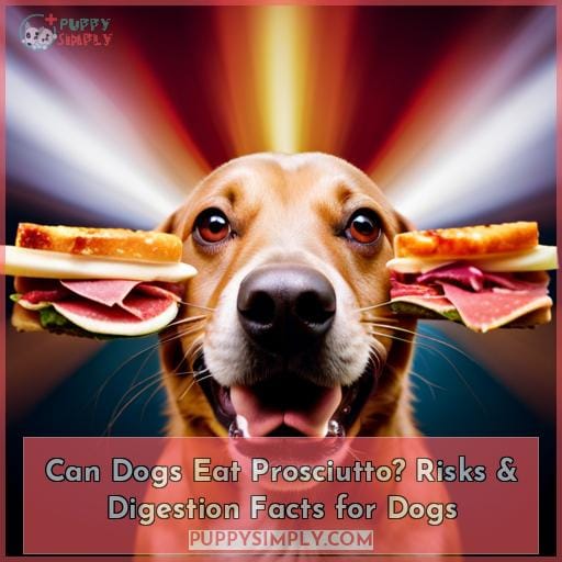 Can Dogs Eat Prosciutto? Risks & Digestion Facts for Dogs