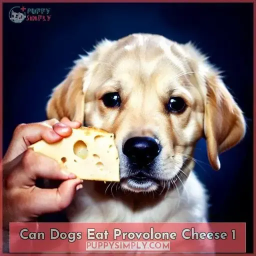 can dogs eat provolone cheese 1