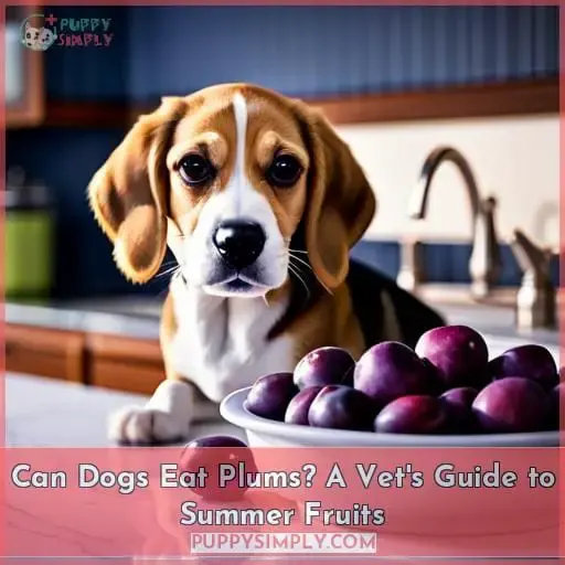 can dogs eat purple plums