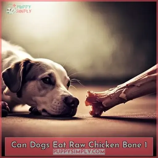 can dogs eat raw chicken bone 1