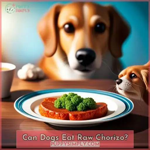 Can Dogs Eat Raw Chorizo?
