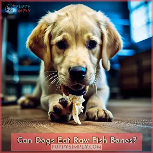 Can Dogs Eat Raw Fish Bones?