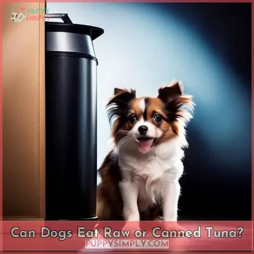 Can Dogs Eat Raw or Canned Tuna?