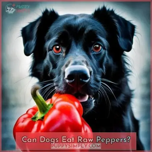 Can Dogs Eat Raw Peppers?