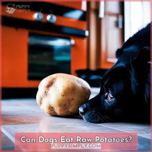 Can Dogs Eat Raw Potatoes