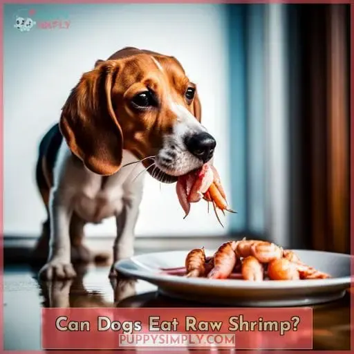 Can Dogs Eat Raw Shrimp